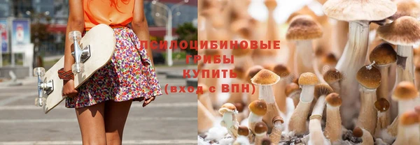 гашишное масло Богородицк