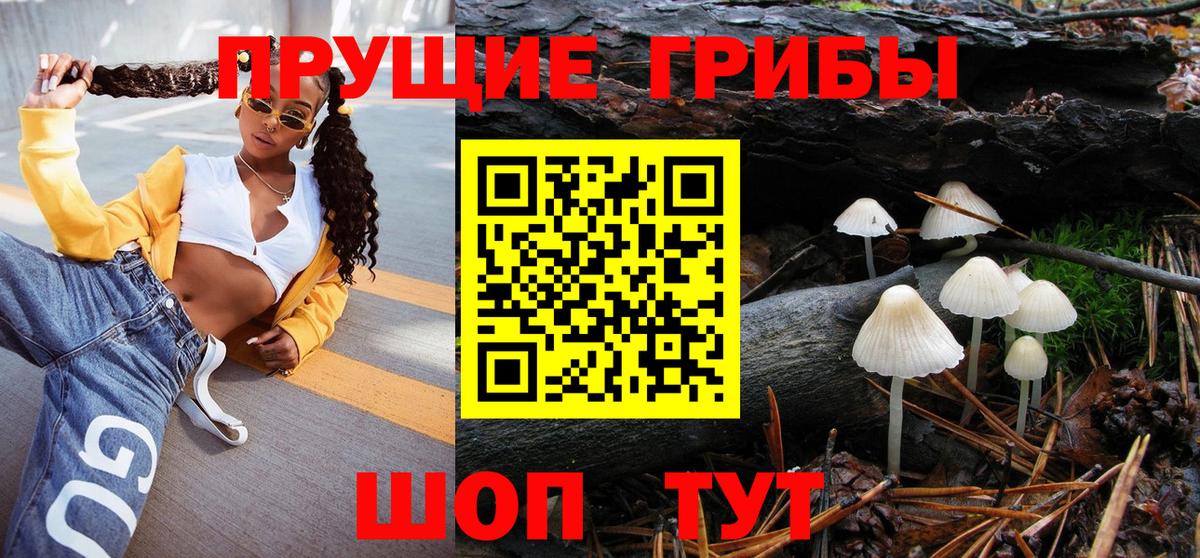 Галлюциногенные грибы Psilocybe  Псилоцибиновые грибы мицелий  Вход с VPN  Вязники 