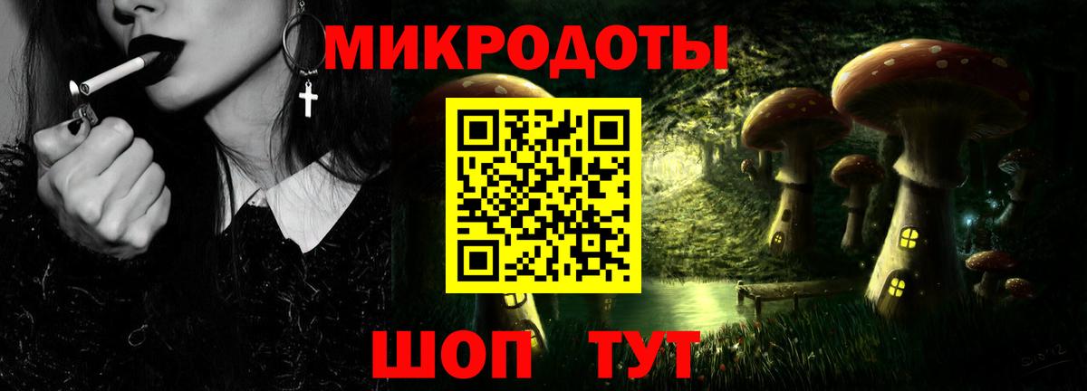 Псилоцибиновые грибы Psilocybine cubensis Вязники